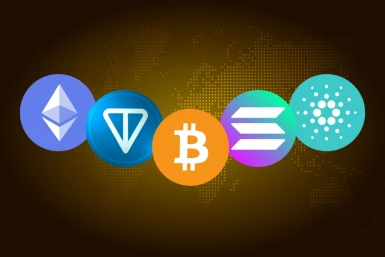 Best Crypto to Invest in 2024
